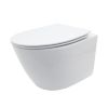 Wall Hung Toilet Bowl, Elongated Toilet Wall Mounted in White