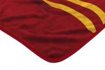 IOWA STATE OFFICIAL NCAA "Digitize" Raschel Throw Blanket; 60" x 80"