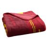 IOWA STATE OFFICIAL NCAA "Digitize" Raschel Throw Blanket; 60" x 80"