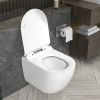 Wall Hung Toilet Bowl, Wall Mounted Elongated Toilet in White