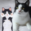 Cat Funny Hand Towels for Bathroom Kitchen